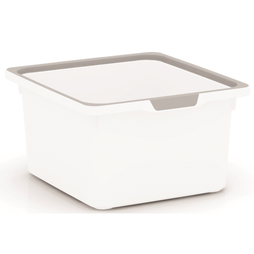 KIS KisKreo Box