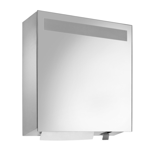 Wagner EWAR Spiegelschrank WP 600 mit Handtuch-und Seifenspender