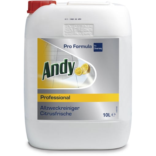 ANDY Professional Allzweckreiniger
