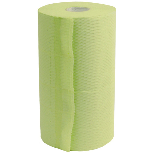 Rollenhandtuchpapier, 2-lagig, hellgrün, perforiert