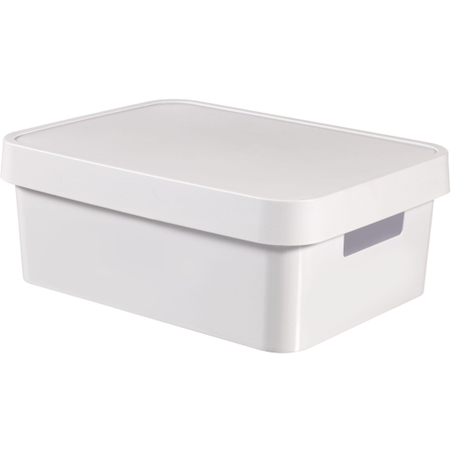 CURVER INFINITY Aufbewahrungsbox, 11 Liter