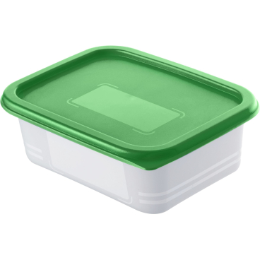 Rotho DOMINO Set Gefrierdosen, 4-teilig, 500 ml – Farbe: transparent/ pine grün