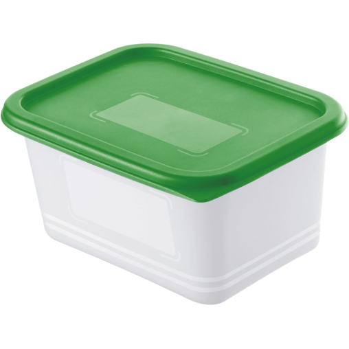 Rotho DOMINO Set Gefrierdosen, 4-teilig, 750 ml