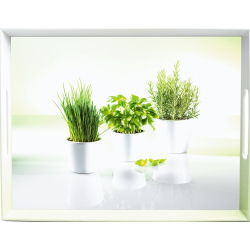 Emsa Tablett Classic Mit Cherries Dekor - 40 X 31 Cm, Kunststoff, Kratzfest & Mit Griffen
