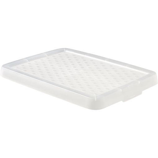 CURVER ESSENTIALS Deckel, 16 Liter Box