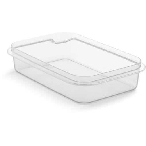 Rotho MATCH & GO Frischhaltedosen-Unterteil big, transparent
