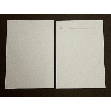 Versandtaschen 220x312mm 120g/qm gummiert VE=100 Stück delfingrau Versandtaschen 220x312mm 120g/qm gummiert VE=100 Stück delfingrau - Bild-Darstellung des Produktes 1