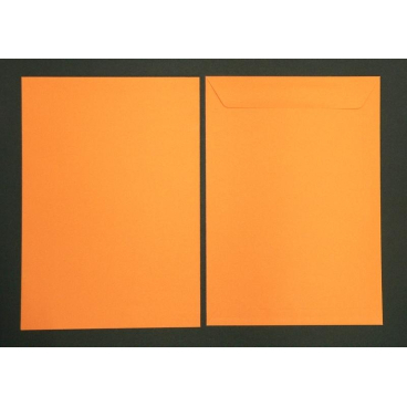 Versandtaschen 220x312mm 120g/qm gummiert VE=100 Stück apfelsine Versandtaschen 220x312mm 120g/qm gummiert VE=100 Stück apfelsine - Bild-Darstellung des Produktes 1