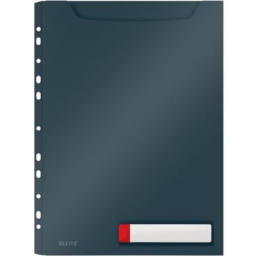 Prospekthülle Cosy A4 Maxi PP einklappbarer Lochrand VE=3 Stück grau Prospekthülle Cosy A4 Maxi PP einklappbarer Lochrand VE=3 Stück grau - Bild-Darstellung des Produktes 1