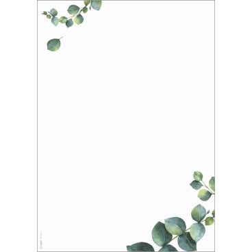 Motiv-Papier A4 90g Eucalyptus 100 Blatt Motiv-Papier A4 90g Eucalyptus 100 Blatt - Bild-Darstellung des Produktes 1