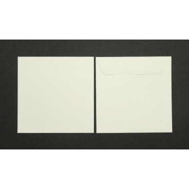 Briefumschläge 220x220mm 120g/qm gummiert VE=100 Stück biotop Briefumschläge 220x220mm 120g/qm gummiert VE=100 Stück biotop - Bild-Darstellung des Produktes 1