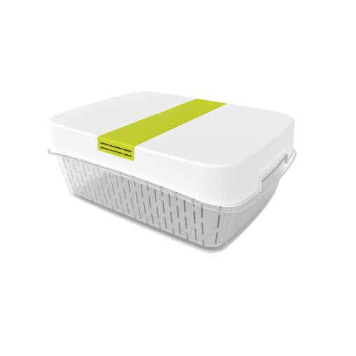 Rotho FRESH Dynamic Box