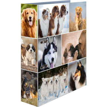 Motivordner A4 70mm Hunde Motivordner A4 70mm Hunde - Bild-Darstellung des Produktes 1