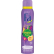 Fa Ipanema Nights Deodorant Spray