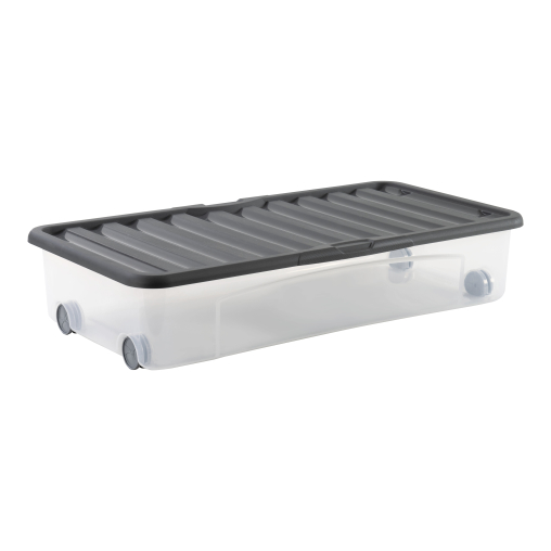 Rotho VENTILI Unterbettbox, 35 Liter