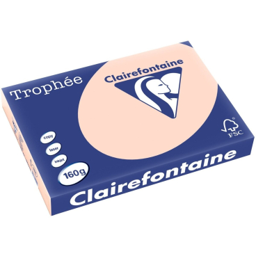 Kopierpapier Trophee A3 160g/qm VE=250 Blatt lachs Kopierpapier Trophee A3 160g/qm VE=250 Blatt lachs - Bild-Darstellung des Produktes 1