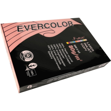 Kopierpapier Forever Evercolor DIN A3 rosa 80 g/qm VE=500 Blatt Kopierpapier Forever Evercolor DIN A3 rosa 80 g/qm VE=500 Blatt - Bild-Darstellung des Produktes 1