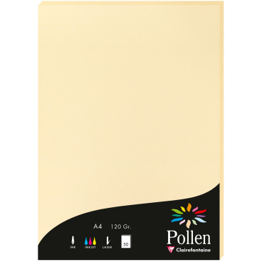 Papier Pollen A4 120g 50 Blatt chamois Papier Pollen A4 120g 50 Blatt chamois - Bild-Darstellung des Produktes 1