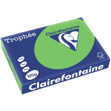 Kopierpapier Trophee A4 120g/qm VE=250 Blatt maigrün Kopierpapier Trophee A4 120g/qm VE=250 Blatt maigrün - Bild-Darstellung des Produktes 1