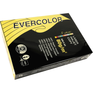 Kopierpapier Forever Evercolor DIN A4 gelb 80 g/qm VE=500 Blatt Kopierpapier Forever Evercolor DIN A4 gelb 80 g/qm VE=500 Blatt - Bild-Darstellung des Produktes 1