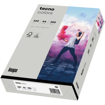 Multifunktionspapier tecno colors A4 160 g/qm VE=250 Blatt grau Multifunktionspapier tecno colors A4 160 g/qm VE=250 Blatt grau - Bild-Darstellung des Produktes 1