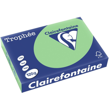 Kopierpapier Trophee A4 120g/qm VE=250 Blatt naturgrün Kopierpapier Trophee A4 120g/qm VE=250 Blatt naturgrün - Bild-Darstellung des Produktes 1