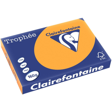 Kopierpapier Trophee A3 160g/qm VE=250 Blatt mandarine Kopierpapier Trophee A3 160g/qm VE=250 Blatt mandarine - Bild-Darstellung des Produktes 1