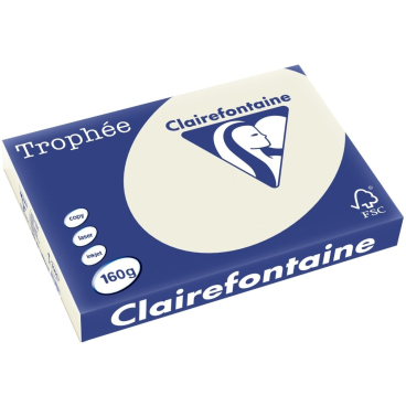 Kopierpapier Trophee A3 160g/qm VE=250 Blatt perlgrau Kopierpapier Trophee A3 160g/qm VE=250 Blatt perlgrau - Bild-Darstellung des Produktes 1