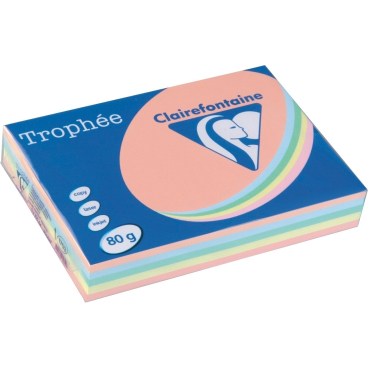 Kopierpapier Rodeco A4 farbig sortiert Pastellfarben VE=5x100 Blatt Kopierpapier Rodeco A4 farbig sortiert Pastellfarben VE=5x100 Blatt - Bild-Darstellung des Produktes 1