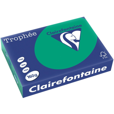 Kopierpapier Trophee A4 160g/qm VE=250 Blatt tannengrün Kopierpapier Trophee A4 160g/qm VE=250 Blatt tannengrün - Bild-Darstellung des Produktes 1