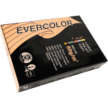 Multifunktionspapier evercolor RC A4 210x297mm 80g/qm lachs VE=500 Blatt Multifunktionspapier evercolor RC A4 210x297mm 80g/qm lachs VE=500 Blatt - Bild-Darstellung des Produktes 1