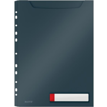 Prospekthülle Cosy A4 Maxi PP einklappbarer Lochrand VE=3 Stück grau Prospekthülle Cosy A4 Maxi PP einklappbarer Lochrand VE=3 Stück grau - Bild-Darstellung des Produktes 1