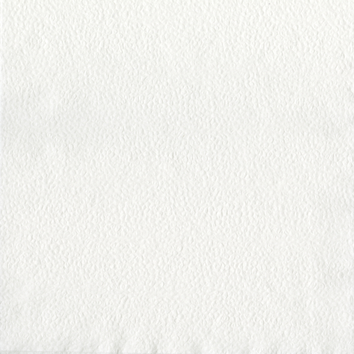 DUNI Servietten, 1/4 Falz, 1 lagig, 33 x 33 cm