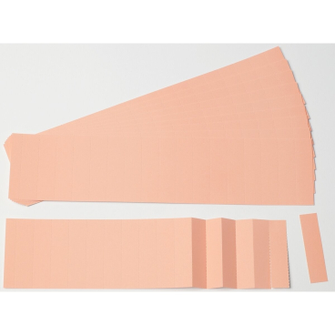 Einsteckkarten für 15mm Einsteckschiene 60x12mm rosa VE=220 Stück Einsteckkarten für 15mm Einsteckschiene 60x12mm rosa VE=220 Stück - Bild-Darstellung des Produktes 1