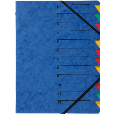 Ordnungsmappe Easy A4 Karton 12 Fächer blau Ordnungsmappe Easy A4 Karton 12 Fächer blau - Bild-Darstellung des Produktes 1