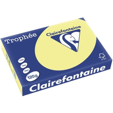 Kopierpapier Trophee Pastell A4 120g/qm gelb VE=250 Blatt Kopierpapier Trophee Pastell A4 120g/qm gelb VE=250 Blatt - Bild-Darstellung des Produktes 1