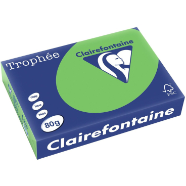 Kopierpapier Trophee A4 80g/qm VE=500 Blatt minze/maigrün Kopierpapier Trophee A4 80g/qm VE=500 Blatt minze/maigrün - Bild-Darstellung des Produktes 1