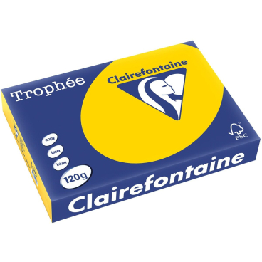 Kopierpapier Trophee Pastell A4 120g/qm goldgelb VE=250 Blatt Kopierpapier Trophee Pastell A4 120g/qm goldgelb VE=250 Blatt - Bild-Darstellung des Produktes 1