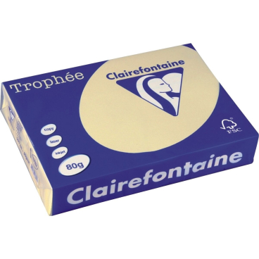 Kopierpapier Trophee Pastell A4 80g/qm chamois VE=500 Blatt Kopierpapier Trophee Pastell A4 80g/qm chamois VE=500 Blatt - Bild-Darstellung des Produktes 1