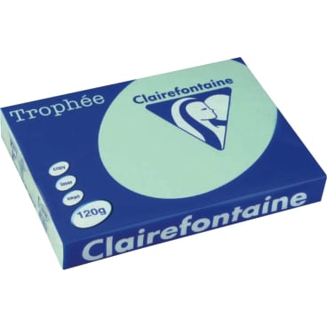 Kopierpapier Trophee A4 120g/qm VE=250 Blatt hellgrün Kopierpapier Trophee A4 120g/qm VE=250 Blatt hellgrün - Bild-Darstellung des Produktes 1