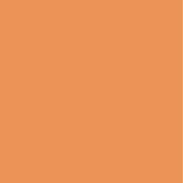 Kopierpapier Trophee A4 160g/qm VE=250 Blatt clementine/orange Kopierpapier Trophee A4 160g/qm VE=250 Blatt clementine/orange - Bild-Darstellung des Produktes 1