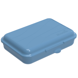 Rotho Kunststoff AG Rotho FUN Funbox, Horizon Blue, Aufbewahrungsbox zur Aufbewahrung von Kleinteilen, Fassungsvermögen: 0,45 Liter, flach 1710806161
