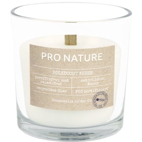 Müller Kerzen Stearin Kerzenglas PRO NATURE, weiß 1 Packung = 6 Stück, 100 x 100 mm (Ø x H) kaufen