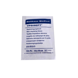 Holthaus Medical GmbH & Co. KG 