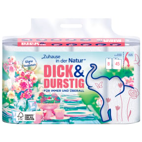 Dick & Durstig Haushaltstücher