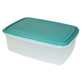 Gies giesline Frischhaltebox, nordic-mint