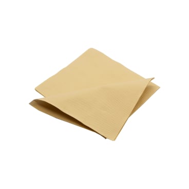 biomondi Bambus Servietten, 2-lagig 1 Packung = 100 Stück - Bild-Darstellung des Produktes 1