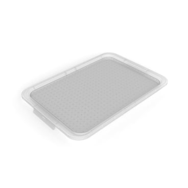Rotho ALBRIS Stülpdeckel für Box 45 Liter Farbe: transparent - Bild-Darstellung des Produktes 1