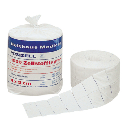Holthaus Medical GmbH & Co. KG 