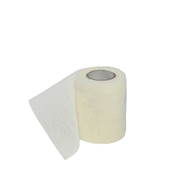 Holthaus Medical GmbH & Co. KG 